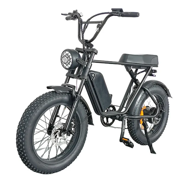 Free Shipping 20inch Fat Tire 48V 15AH 1000W Motor Electric Bicycle Off Road Electric City bikes E bike for Adults