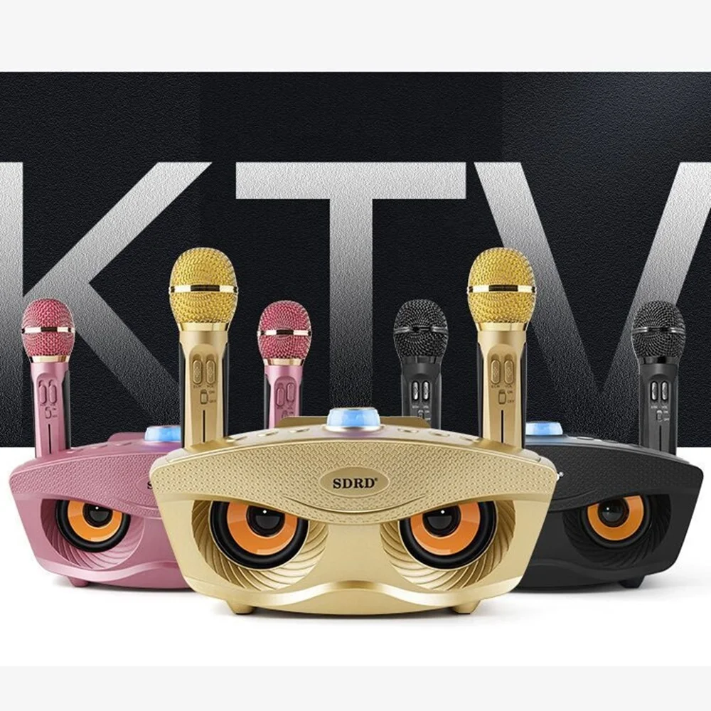 Wholesale SD306 20W Bass Sound Family KTV 2-in-1 Portable Karaoke BT Wireless Speaker With dual handheld microphone  Owl Speaker