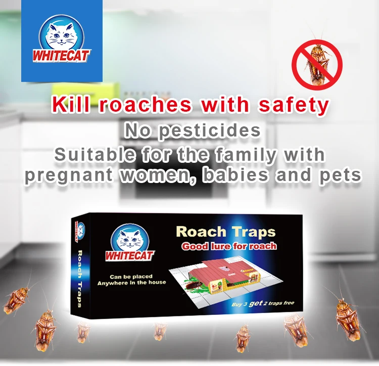 Killing Cockroaches Glue Trap Roach Catcher Cockroach Glue House OEM Roach Bait Trap Glue