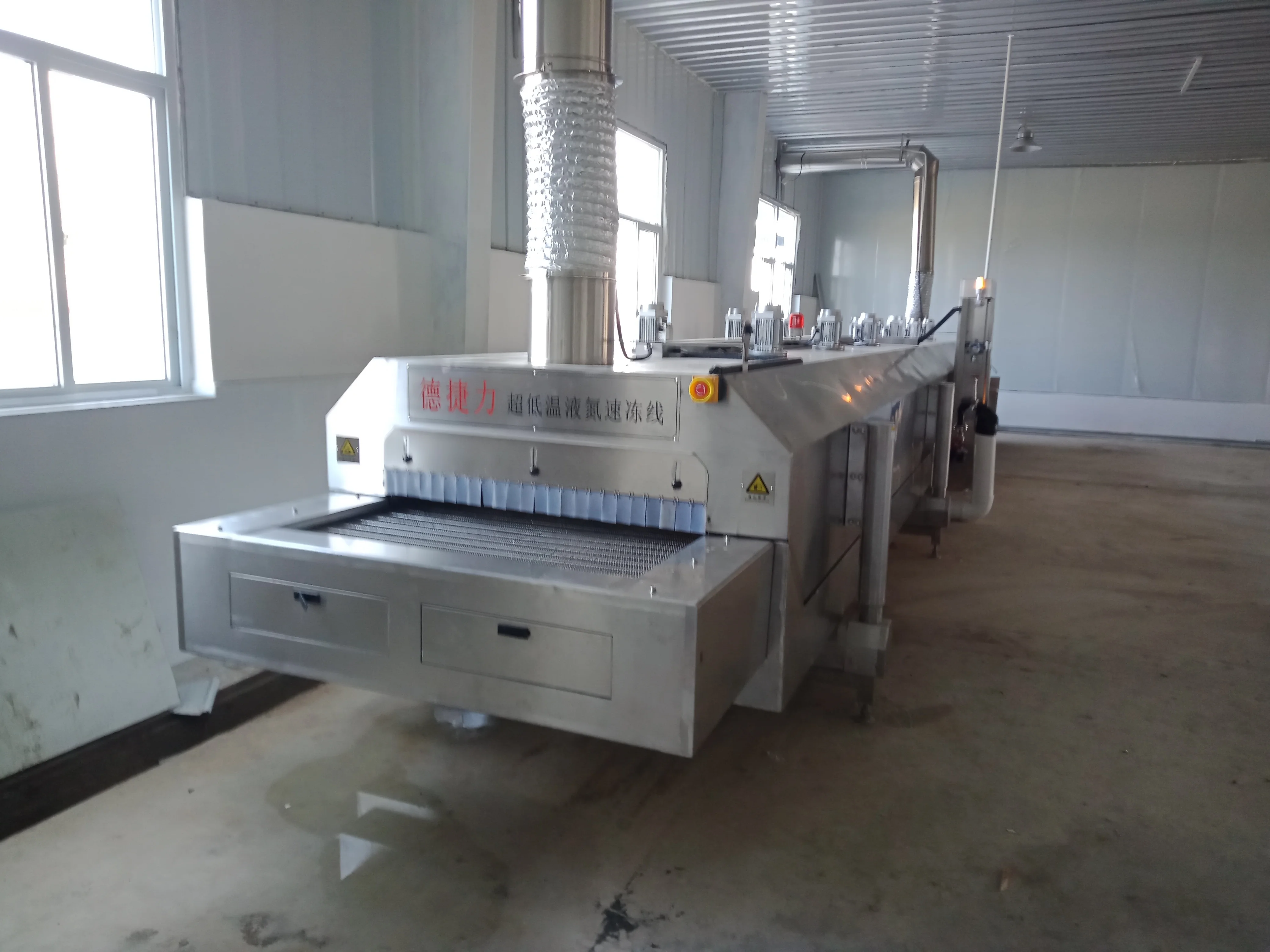 DJL china made individual quick freezing liquid nitrogen tunnel freezer for fish head