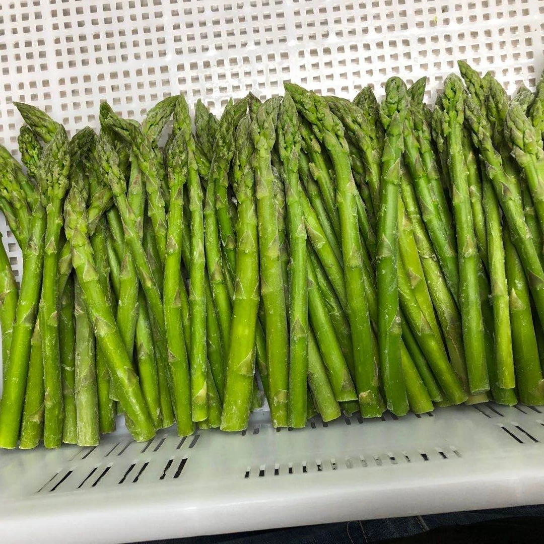 2022 new crop Fresh Frozen Premium Healthy Delicious Frozen Green Asparagus Frozen Vegetables