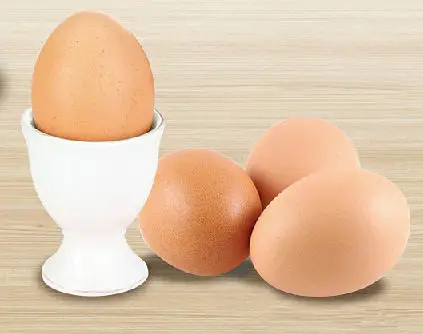 241073 Multi-function Kitchen Gift Electric 7 Egg Steamer Breakfast Auto Power Off Electric Egg Cooker Egg Boiler