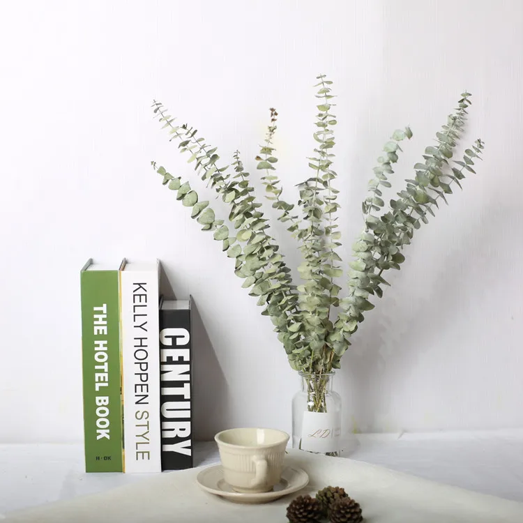 LD New arrival Origin manufacturer Flower arrangement Natural real touch dried/preserved Eucalyptus as home decor