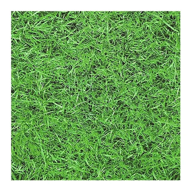 China Quality floor fitness soft taekwondo rubber mats for dojo