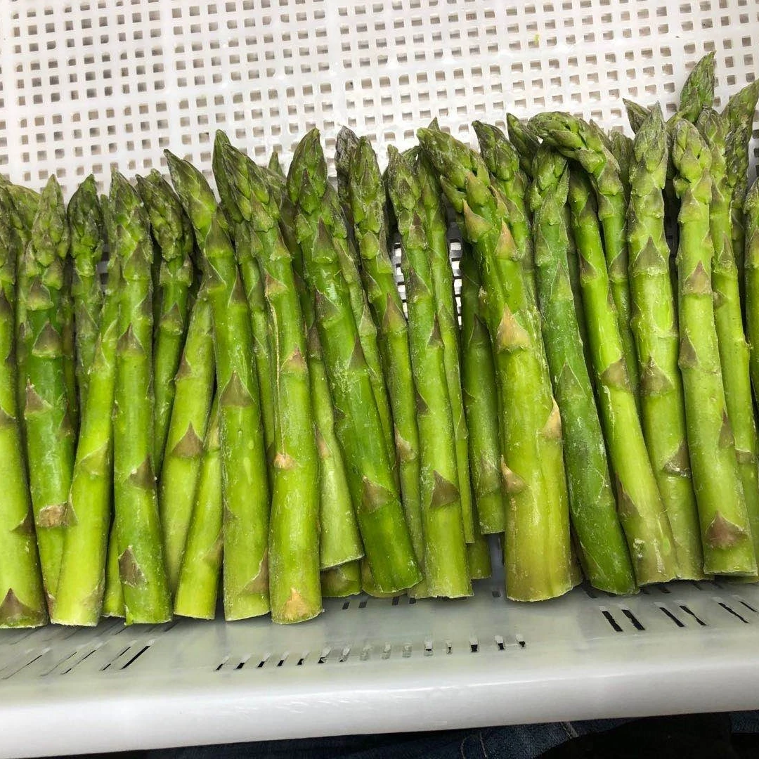 2022 new crop Fresh Frozen Premium Healthy Delicious Frozen Green Asparagus Frozen Vegetables
