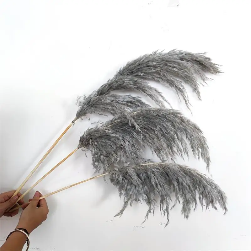 Cheapest decor flower natural pampas grass & dried reed straw grass for home decoration