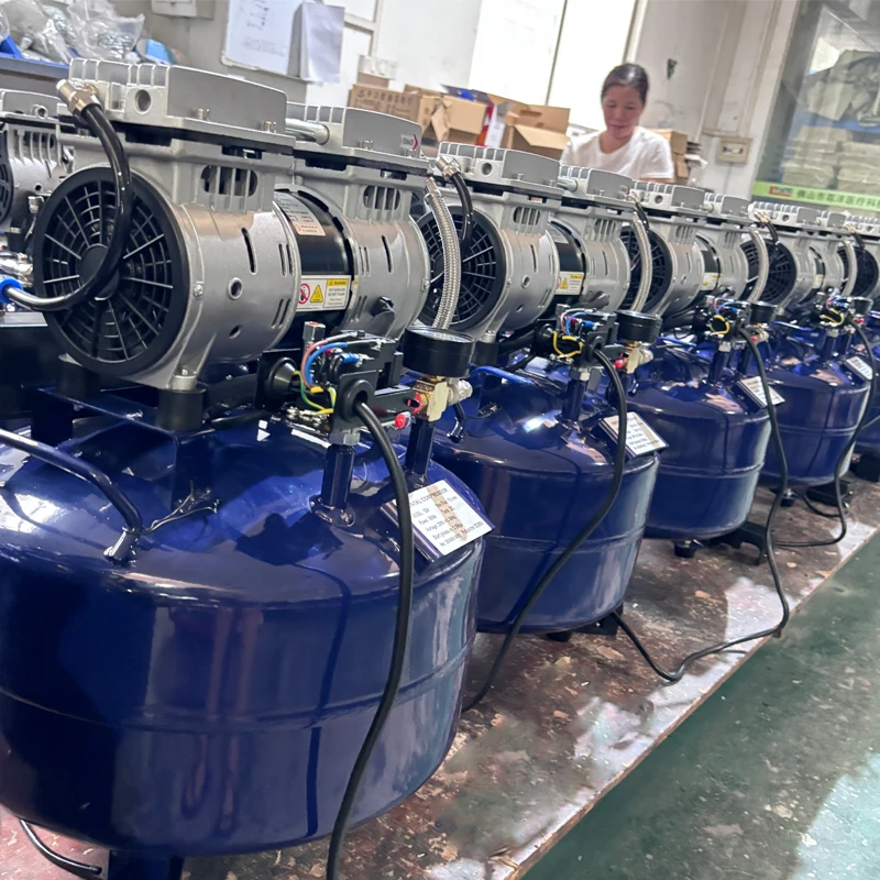 Portable Pigh Pressure Low Noise Oil Free Piston Type Aire Compressor for Dental Mini air Compressor Offer OEM ODM