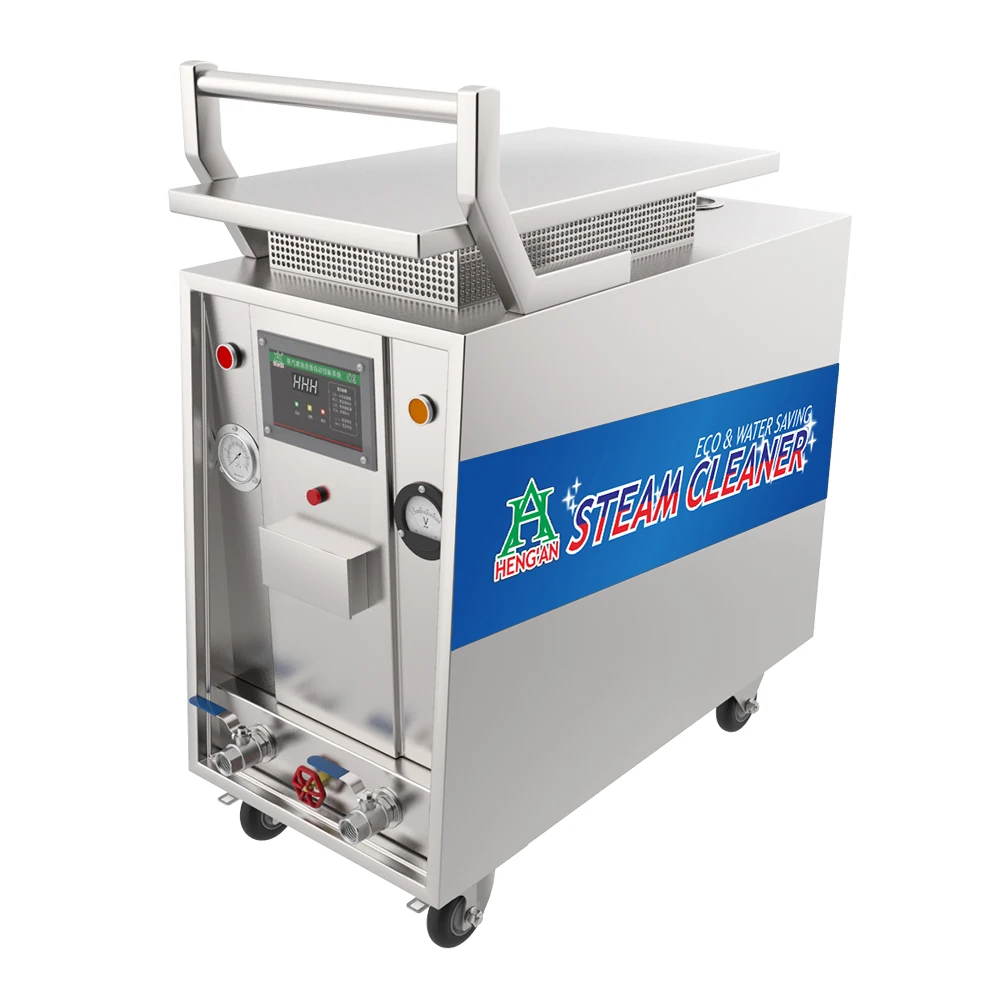 High Temperature Eco Friendly Virus Germ Fungus Mites Steam Clean Sterilizing Equipment