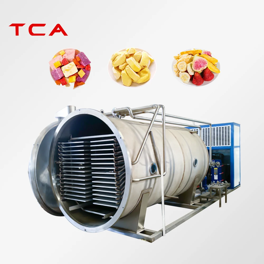 TCA Vegetables and fruits Automatic Fruit freeze drying machine/freezer dryer price/freeze drying machine industrial freeze dry