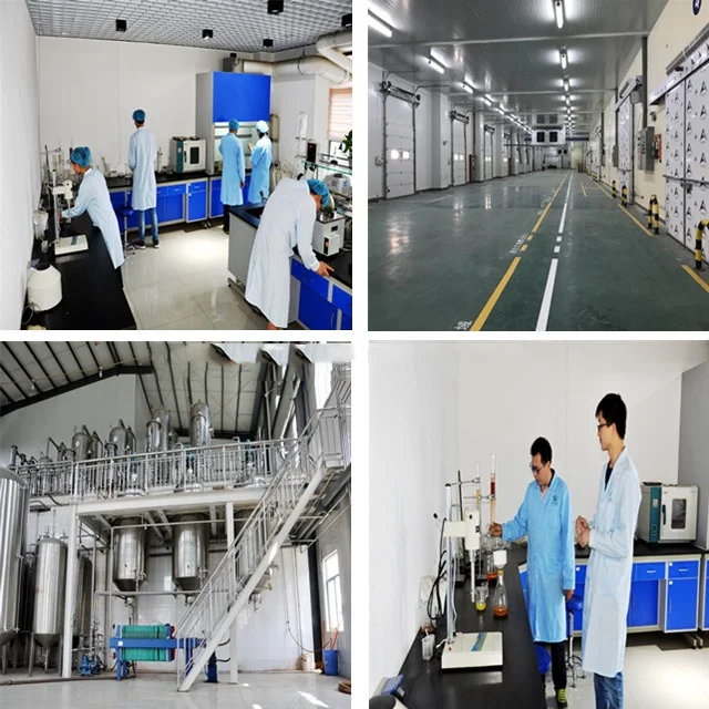 Manufacture Bulk Horsetail Extract Powder Equisetum Arvense 7% Silica Powder Price