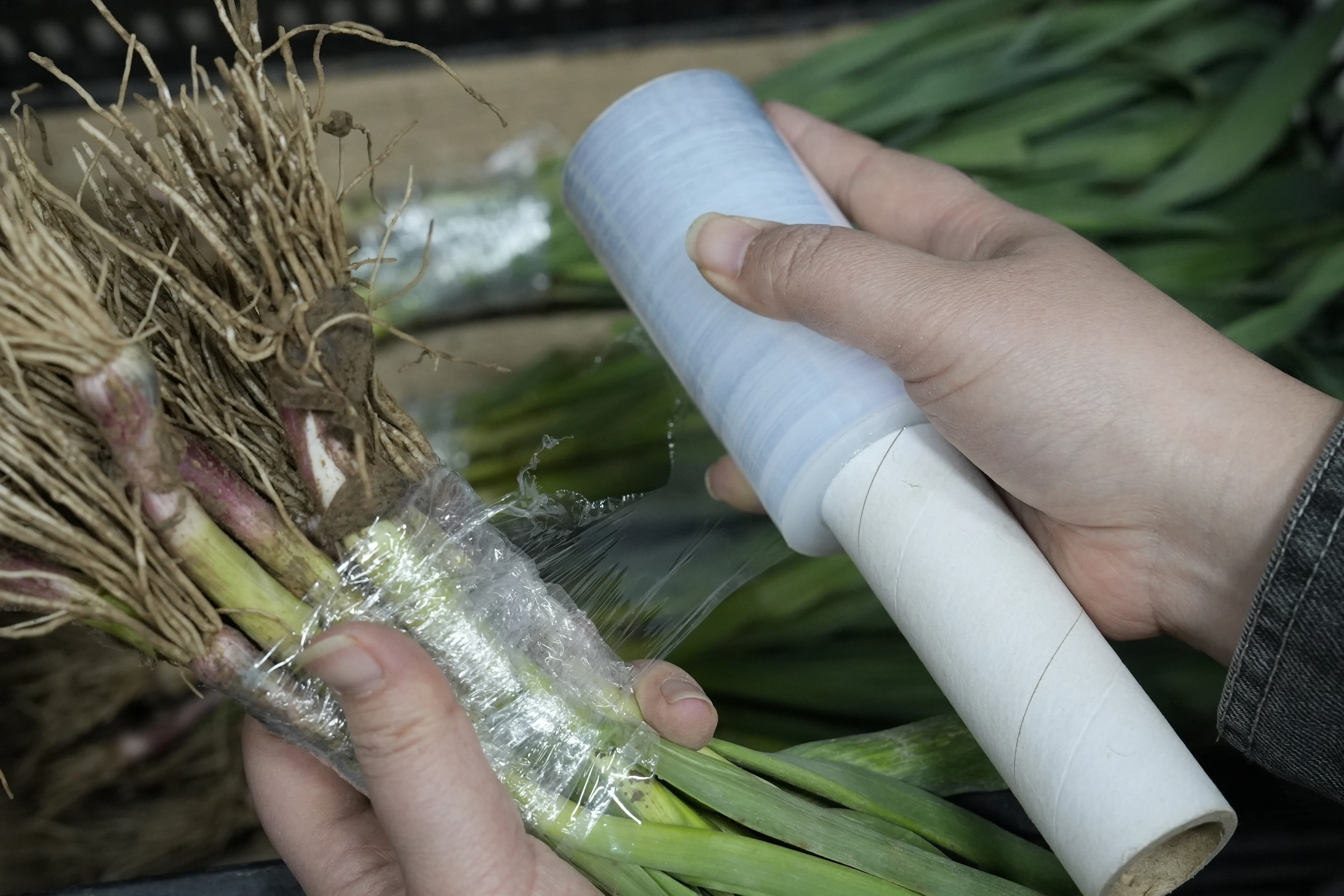 High Quality Plastic Mini Extend Core Handheld LLDPE Stretch Film Hand Use Handle