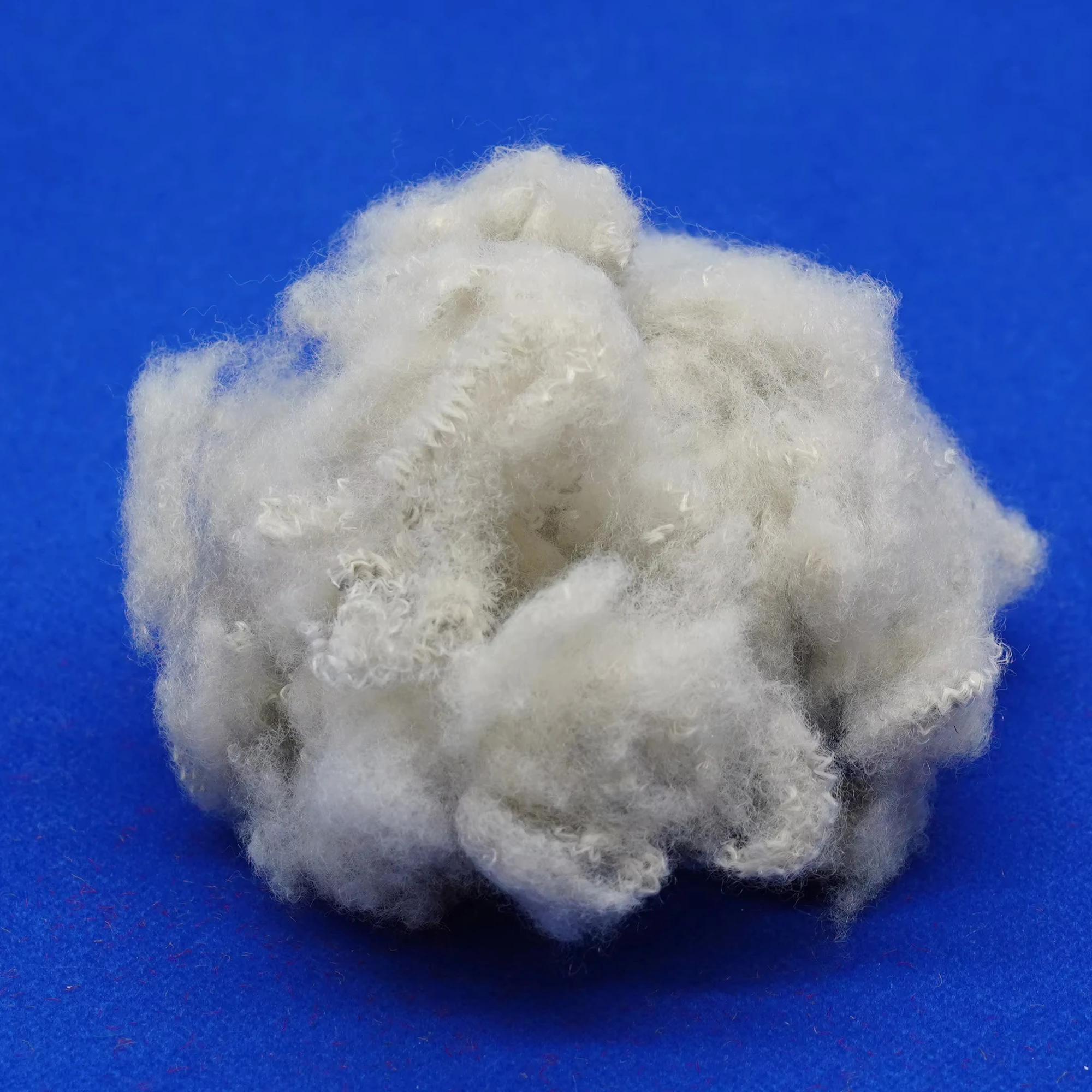 High Quality 1.5D 38mm Low Melt Recycled Polyester Staple Fiber Polypropylene Fiber for Geotextile Cloth