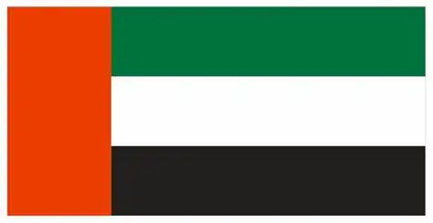 Custom Size Palestine Afghanistan The United Arab Emirates  Oman  Azerbaijan Bahrain heat transfer 3 X 5 Polyester National Flag