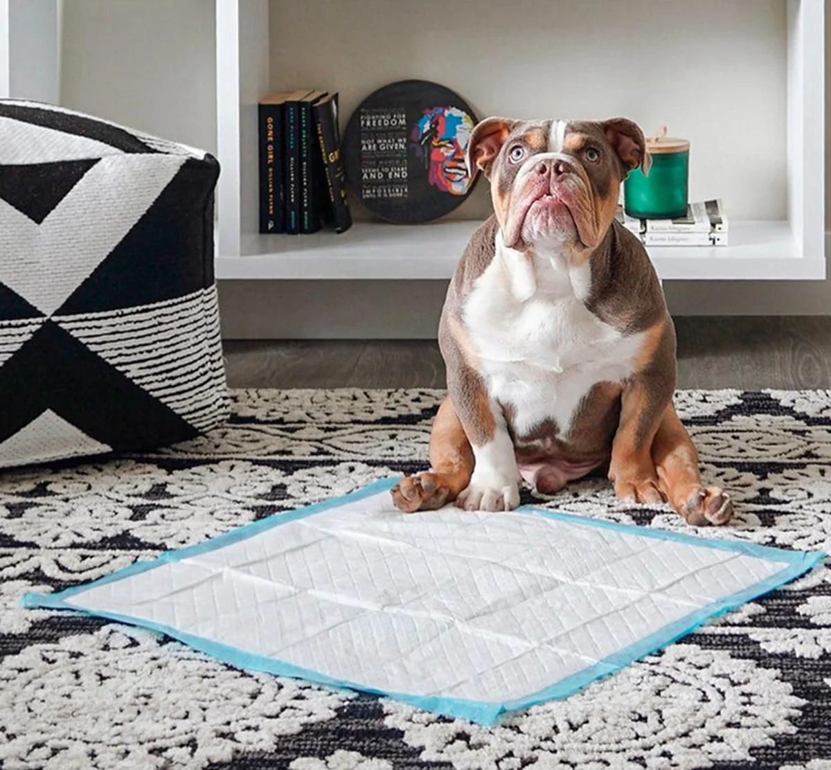 Disposable Pet Dog Pee PadS M L XL sizes super absorbency sap training pads for pets