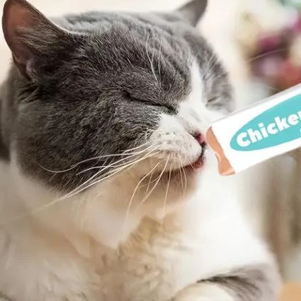 Oem кошачья закуска на заказ влажная пища Высококачественная рекламная сумка вкусные кошачьи полоски закуски лакомство