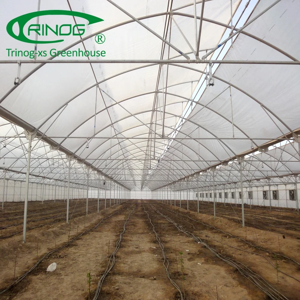 Agricultural A frame vertical lettuce hydroponics greenhouse with fertilizer