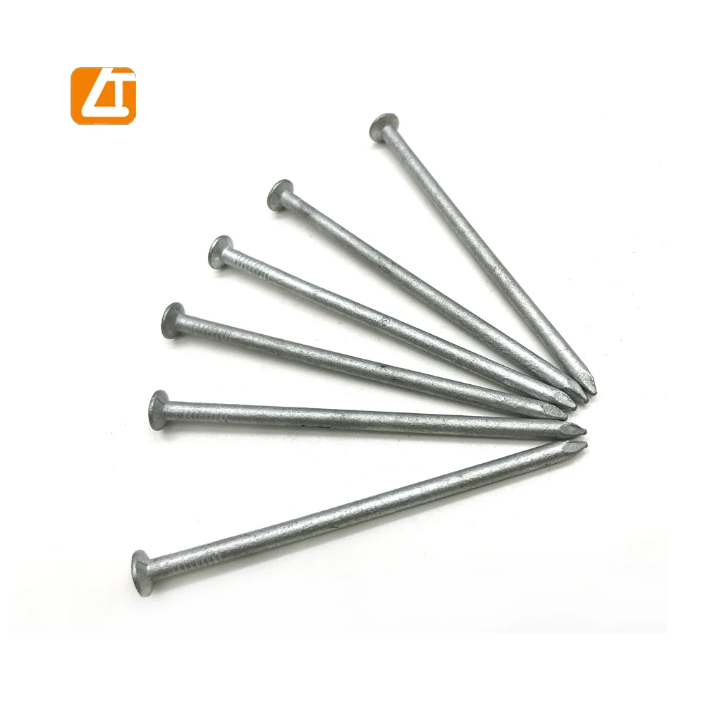 galvanized construction nails H.D.G. common wire nails hot-dip galvanized nails