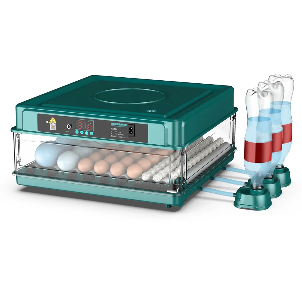 70 Egg Capacity Automatic Water Supply Egg Incubators Hatching Chicken for sale