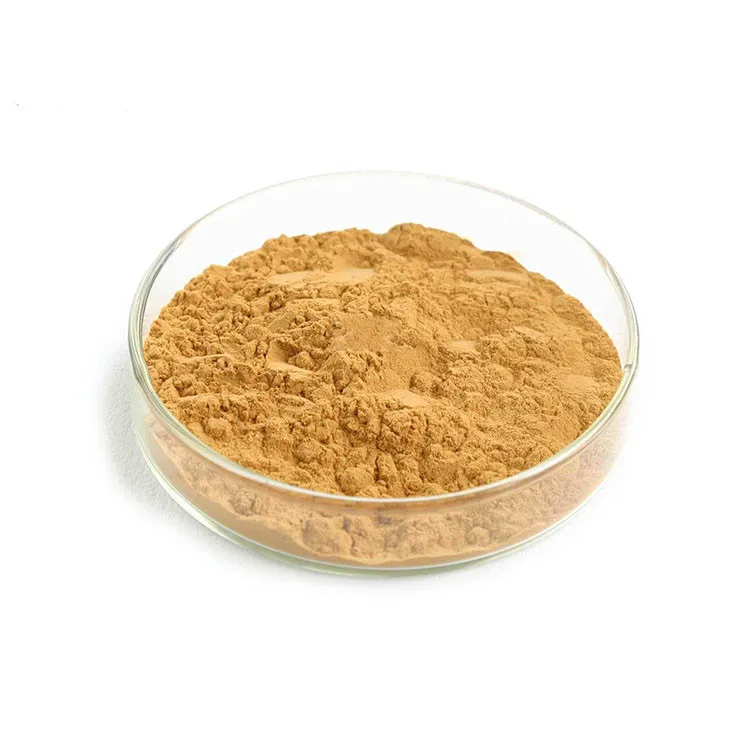Cas 65666-07-1Factory Price Silymarin Milk Thistle Extract Powder with 80%