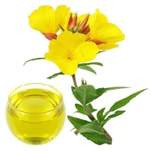 
Natural High Quality evening primrose seed oil 