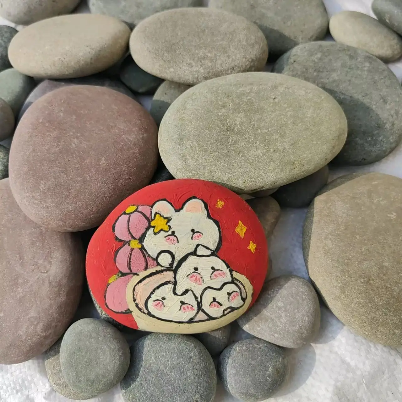 Natural Stone Cobbles & Pebbles Set for Garden Paving & Drawing Artistic Fish Tank