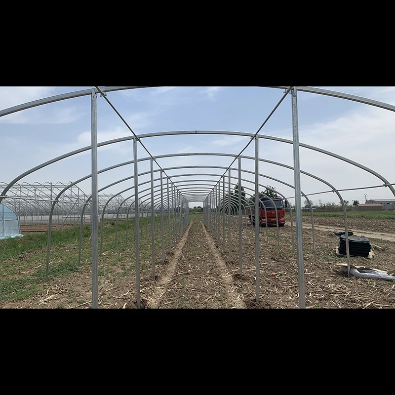 Agricultural cheap 8*30m single span 150micron PE film greenhouse for sale
