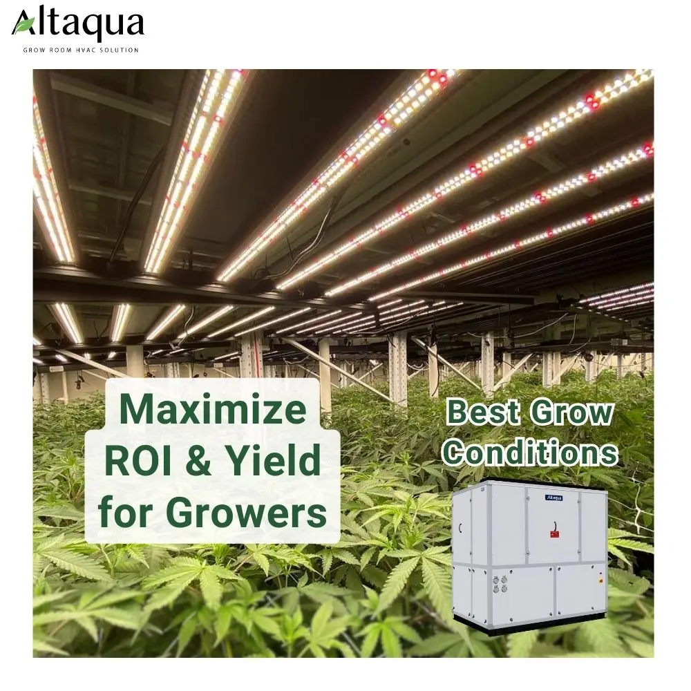 Grow Drying Rack for Controlled Drying Environments in Grow Facilities