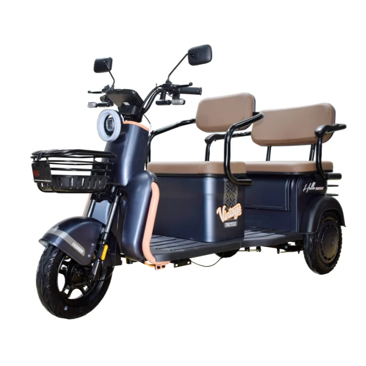 Factory Sales Small 2 Row Electric Passenger Cargo Tricycle with Storage Box for Adults 48V 800W 3 Wheel Moped Scooter Elderly