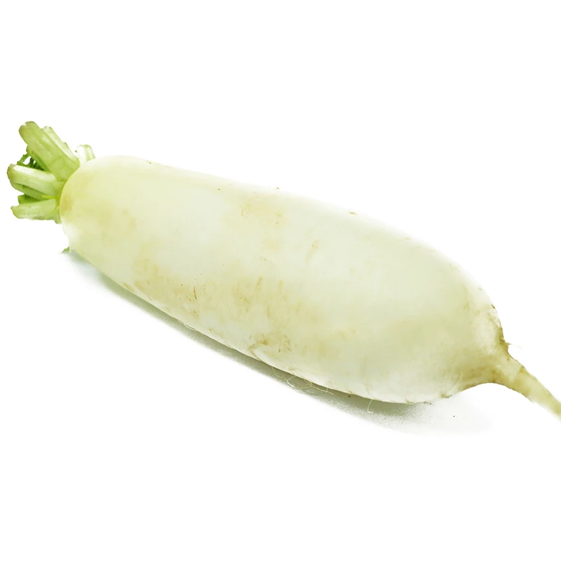 Best-selling Direct Commercial wholesaler of refreshing white radish