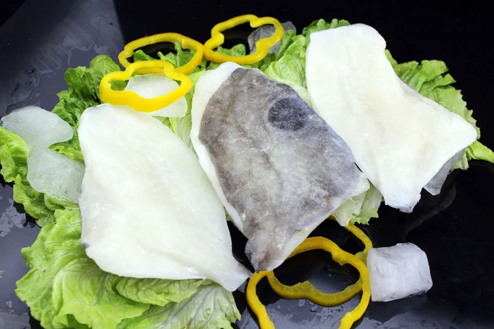 frozen john dory fish fillet (zeus faber) skin on sea fish