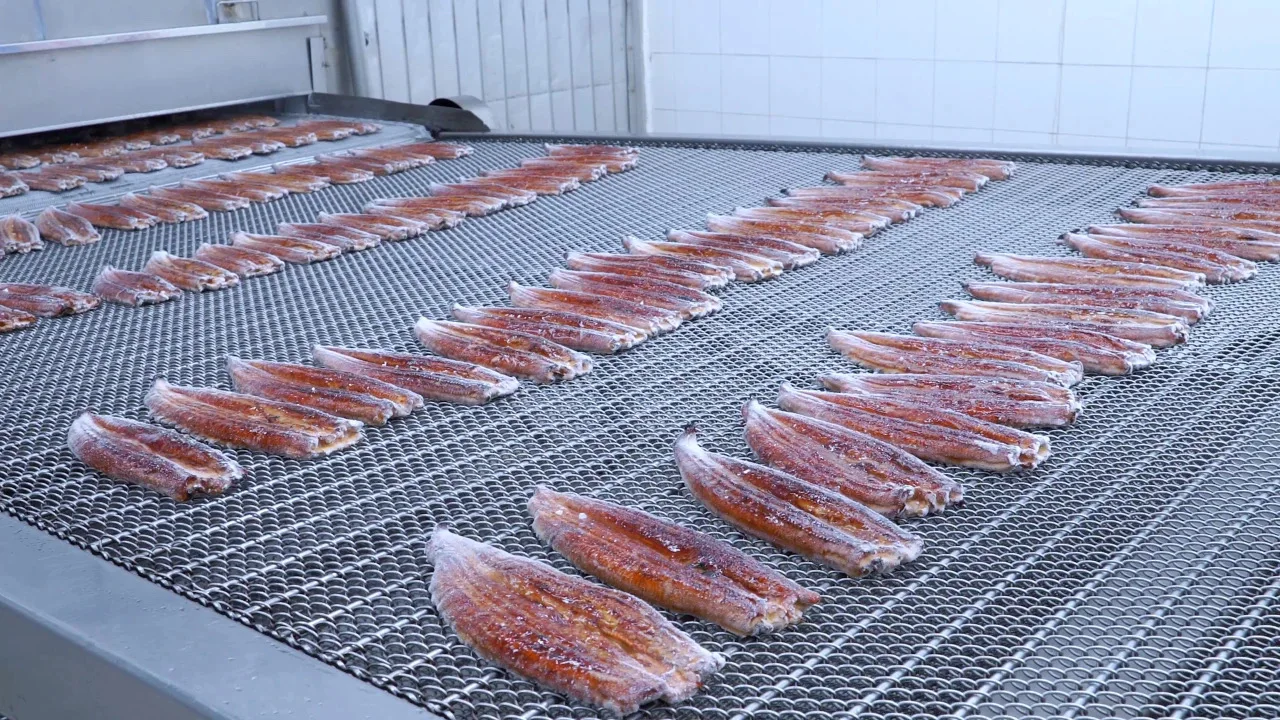 Cheap Price Eel Over Rice Savory Japanese Cuisine Cooked Eel Fish Roasted