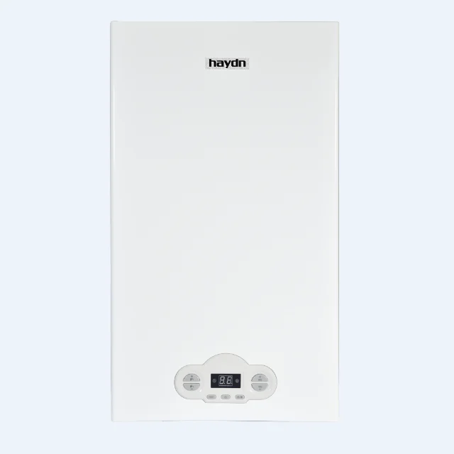 High Quality Factory Wholese  Competitive Price for Bathroom Wall Hung Gas Boiler