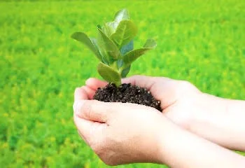 Slow Release Compound Fertilizer To Keep The Freshness Longer