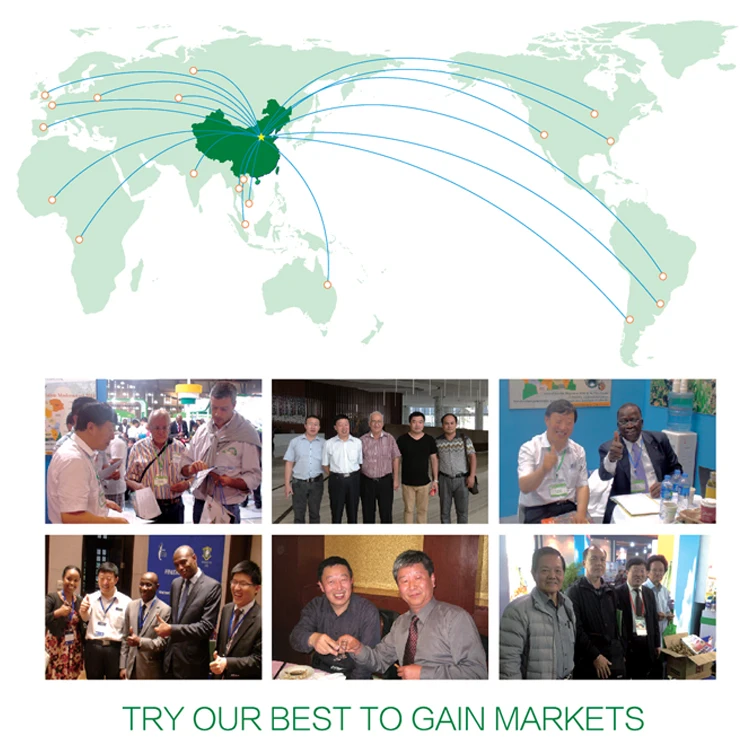 Биологический фунгицид для контроля насекомых и вредных бактерий