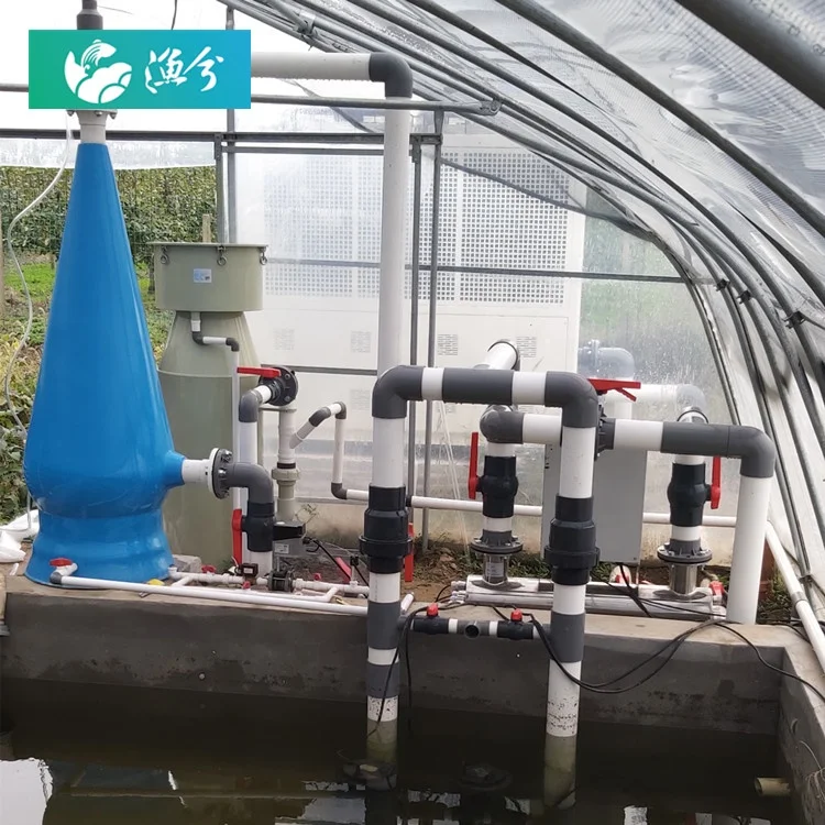 
Indoor fish ras fish farming equipment for Tilapia the recirculating aquaculture system 