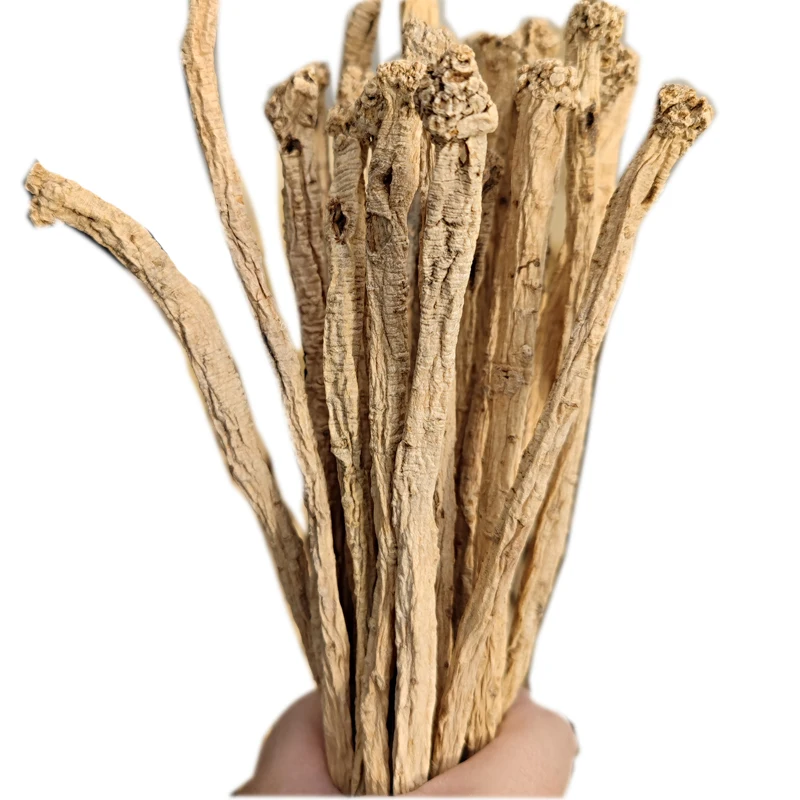 Chinese dangshen wholesale artificial fourth class codonopsis pilosula nannf chinensis Gansu Zhongzai