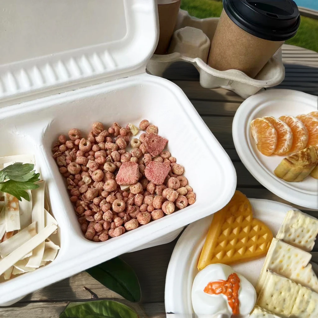 Compostable Disposable Takeaway Box Biodegradable Food Containers made Wheat Straw Fiber Pulp Bagasse To Go Container