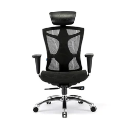 SIHOO V1 High Back Conference Best Ergonomic Back Design Mesh Office Chair 1 Piece Aluminum Modern Seat Height Adjustable