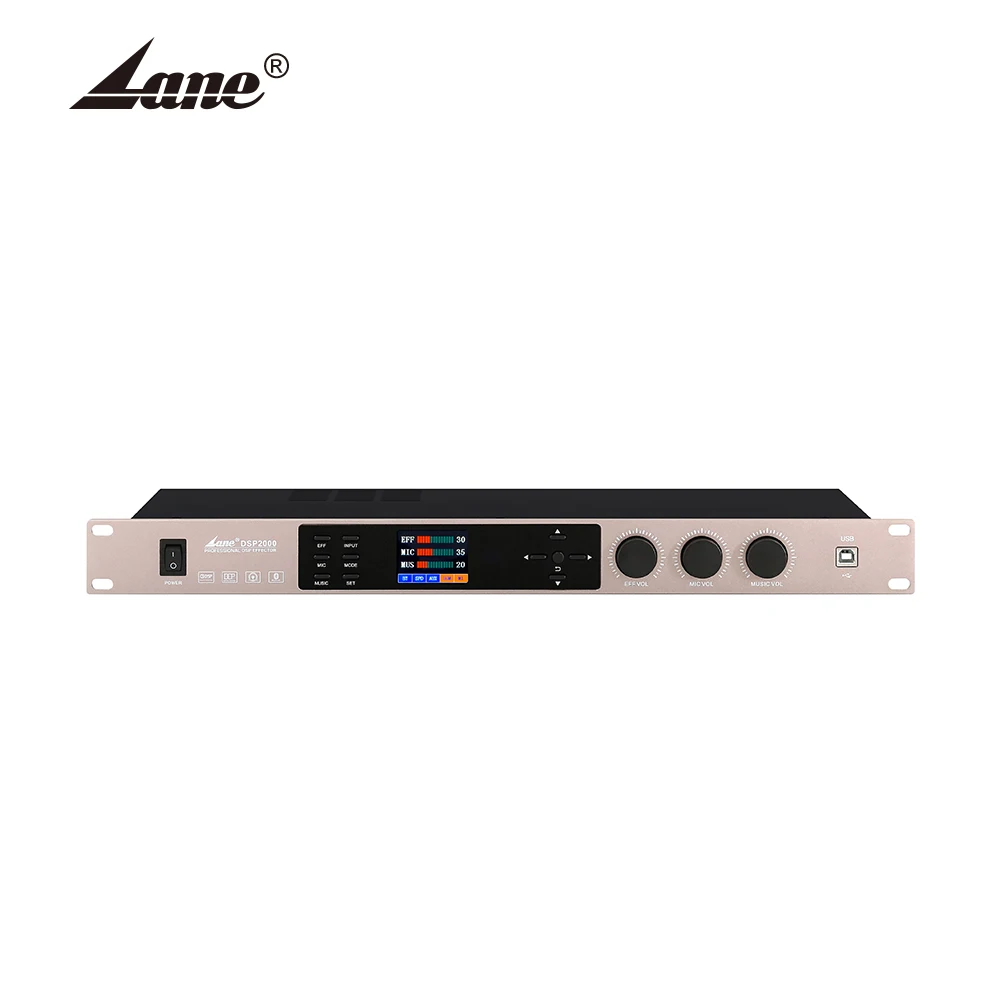 DSP2000 New Product Professional Dual-DSP Superimposed Effect Digital Feedback Suppressor Audio Processor