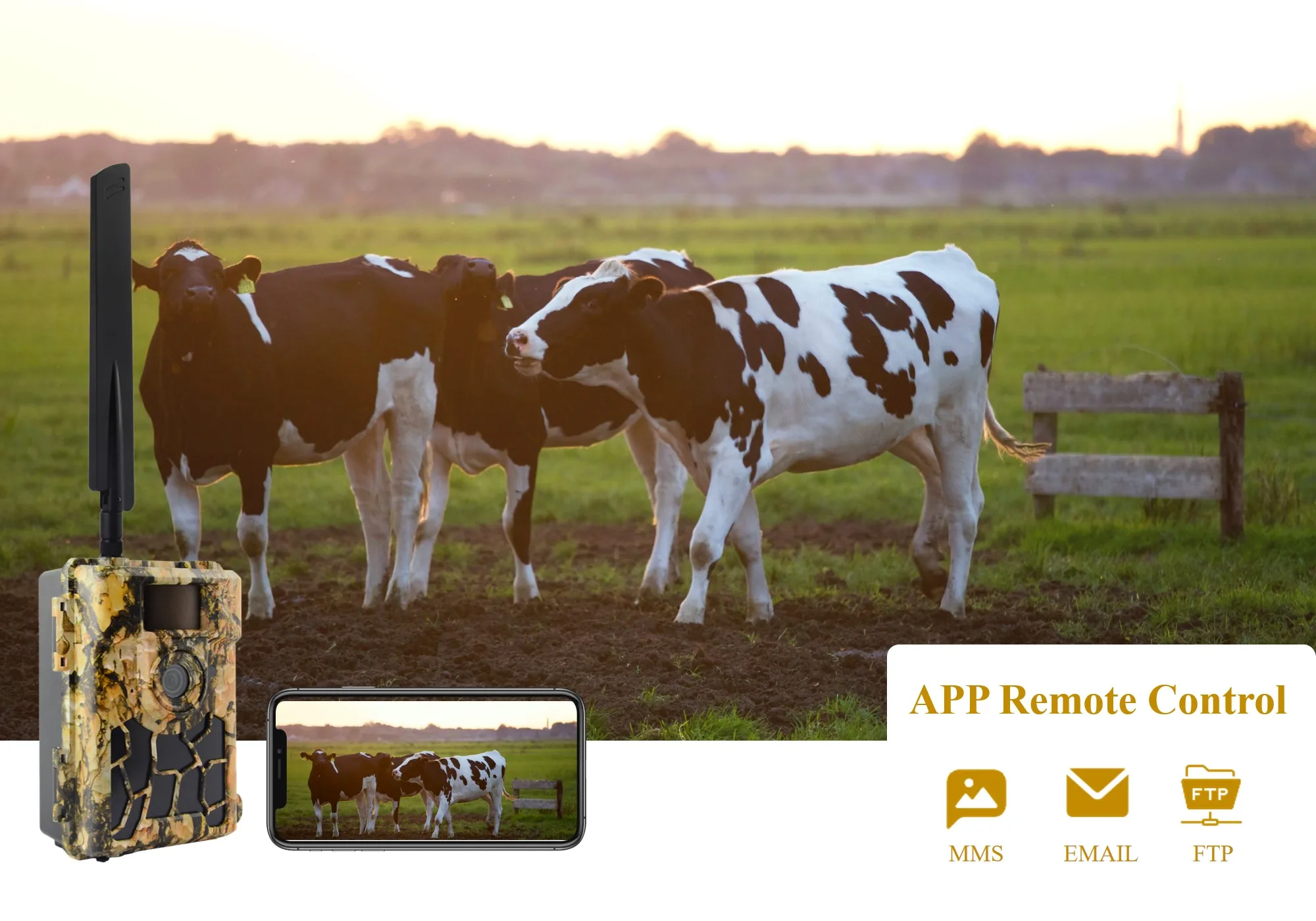 4G 24MP MMS Email  Wildlife Trail Camera Photo Traps with No Glow LEDs GPS  SMS APP Control for Hunting