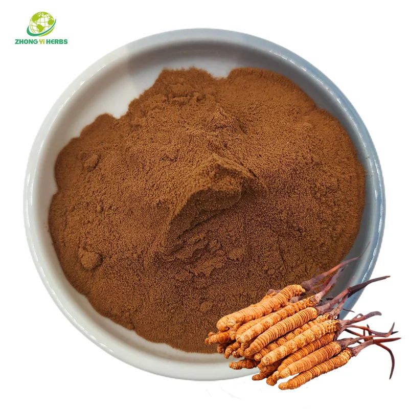 Hight Quality Private Label Cordyceps Sinensis CS4 Powder Cordyceps Sinensis Extract Powder