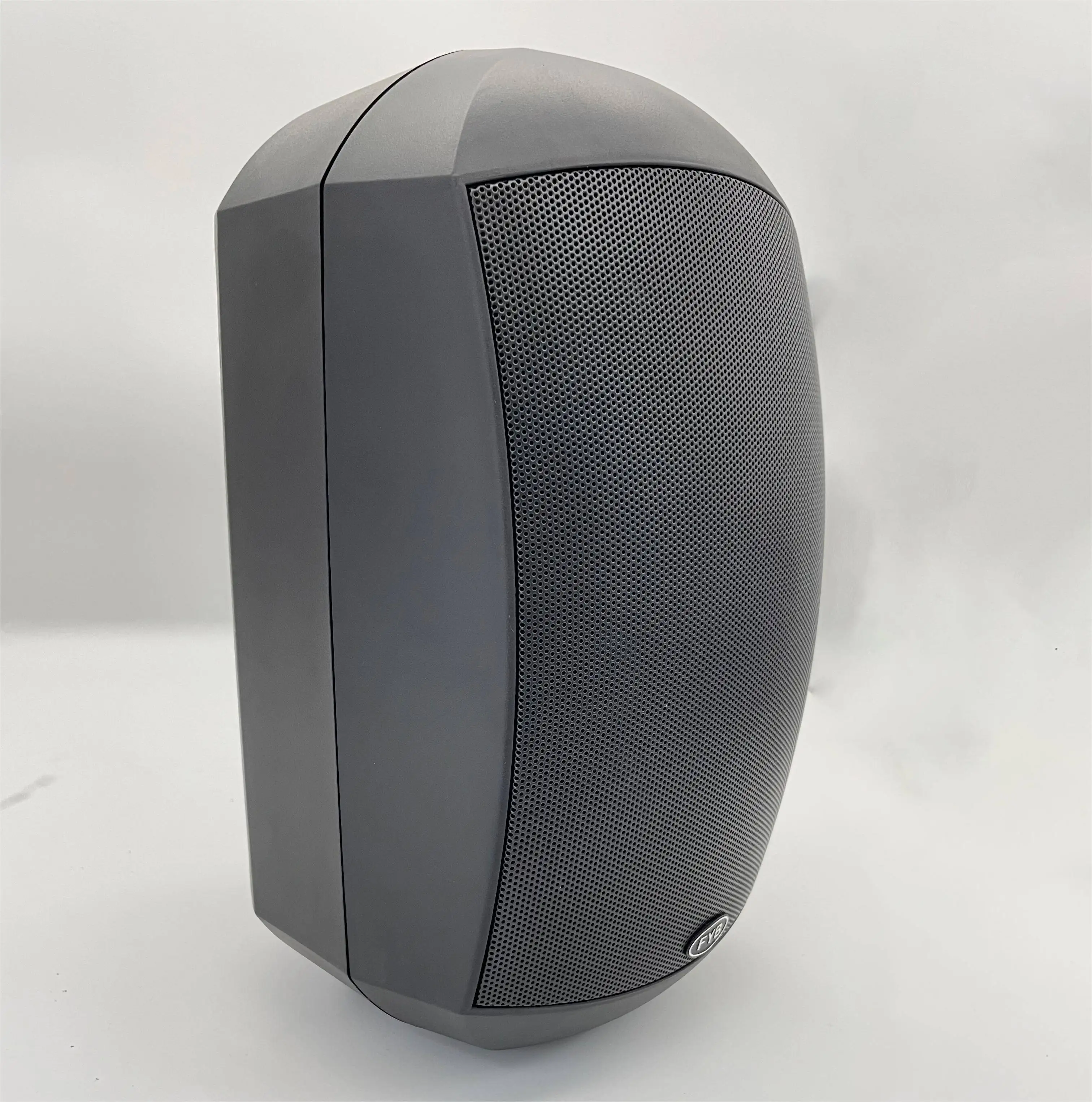 FYB Two Way Wall Mount Speakers IP66 100W 60W 20W Outdoor Speaker Garden factory Waterproof For PA System