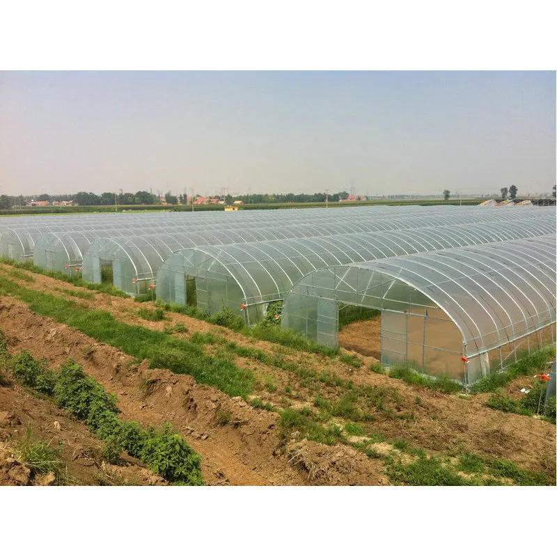 Высокое качество, первый широкий ассортимент, политоннельный Тепличный алюминий, коммерческое использование