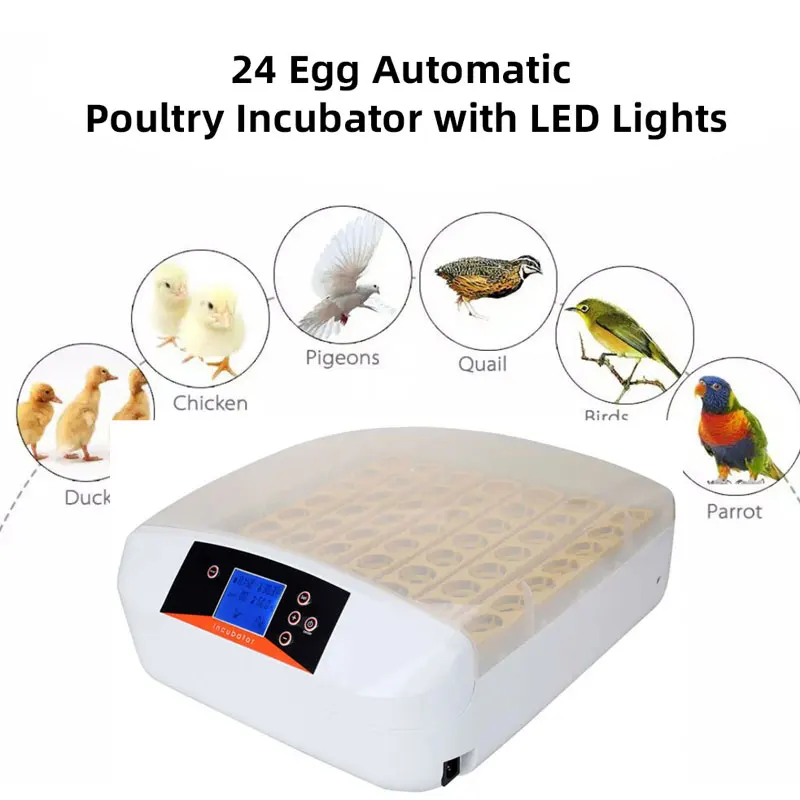 Automatic Commercial Thermostat Reptile Incubator Egg Automat, Free Fample Fully Automatic Egg Incubators In Ethiopia
