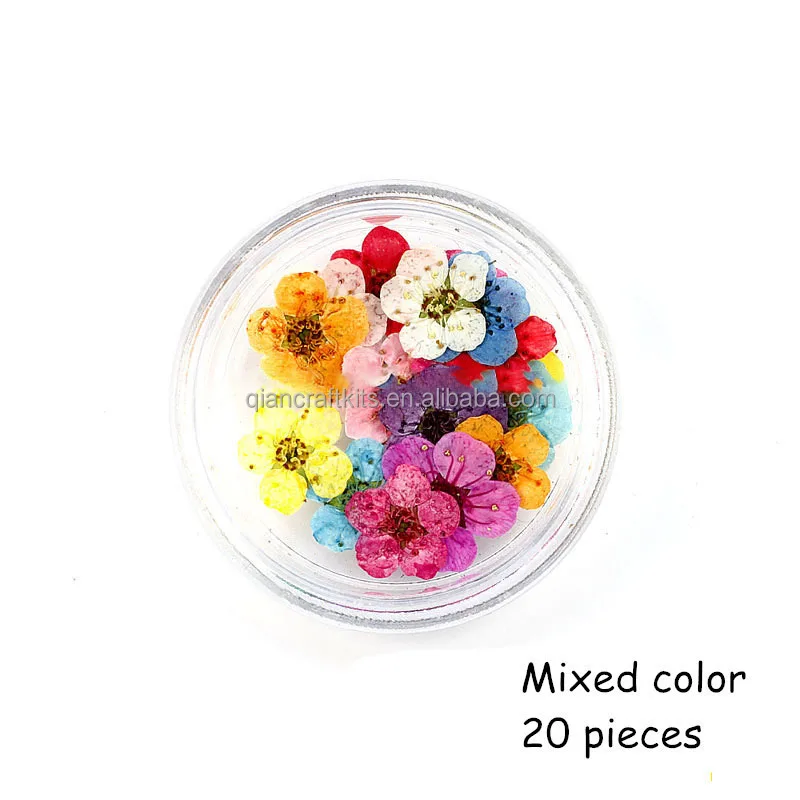 flower (11).jpg
