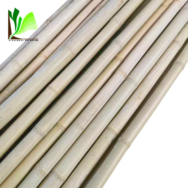 Wholesale Natural Dry Straight Raw Tonkin Bamboo Stake for Garden