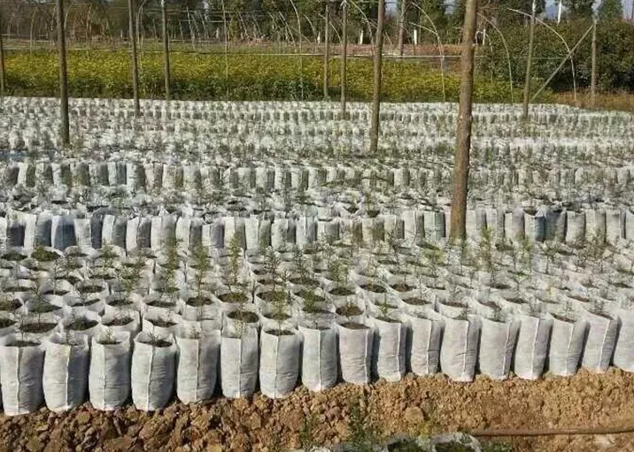 pp bag manufacturing white jute seedling biodegradable non-woven nursery bags plant for greenhouse