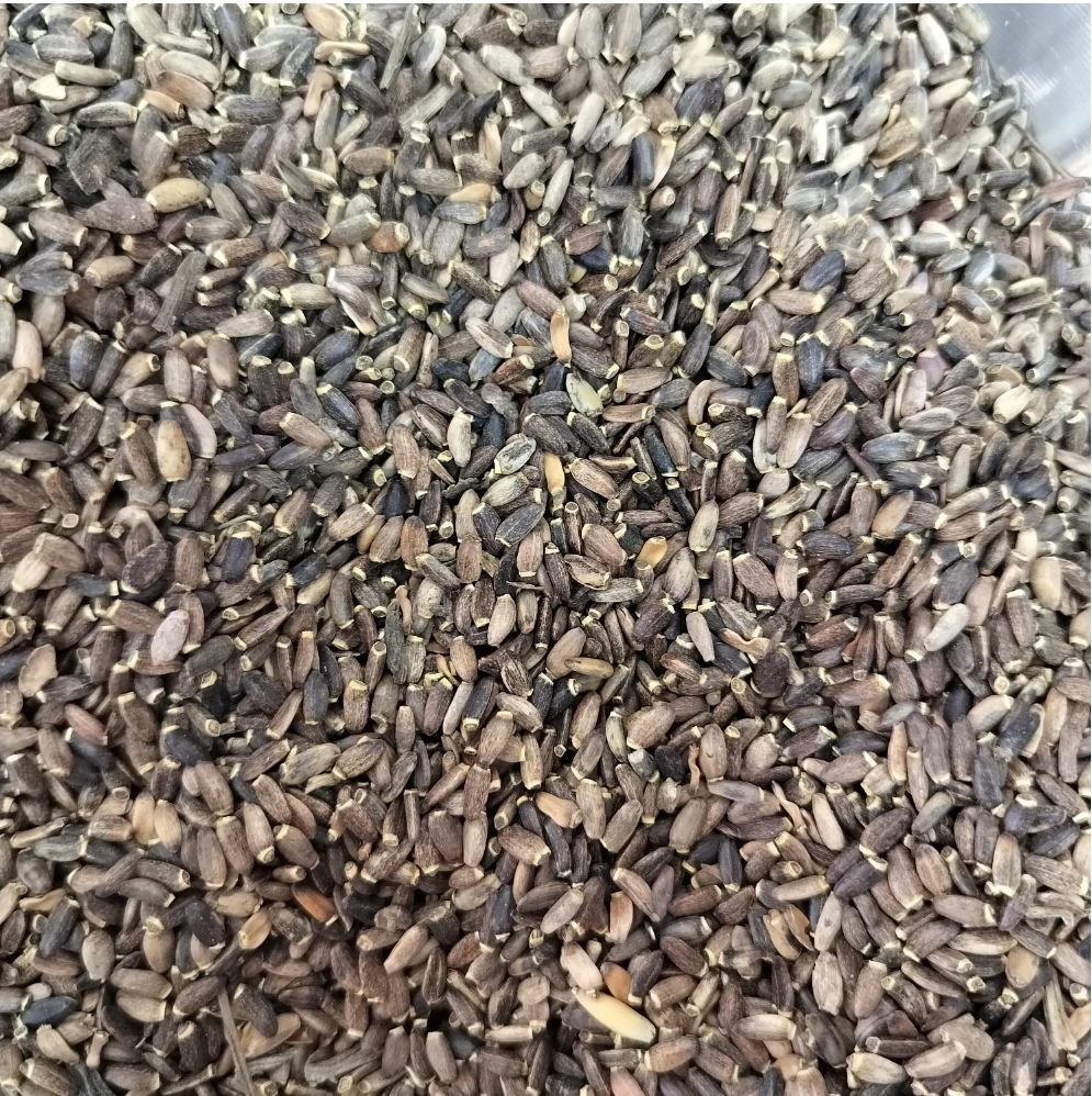 Shui Fei Ji Factory Supply Bulk Milk Thistle Seed Silybum Marianum Natural Dried Milk Thistle for sale
