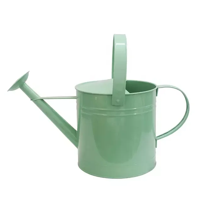 Wholesale oval shape galvanized watering can garden watering pot