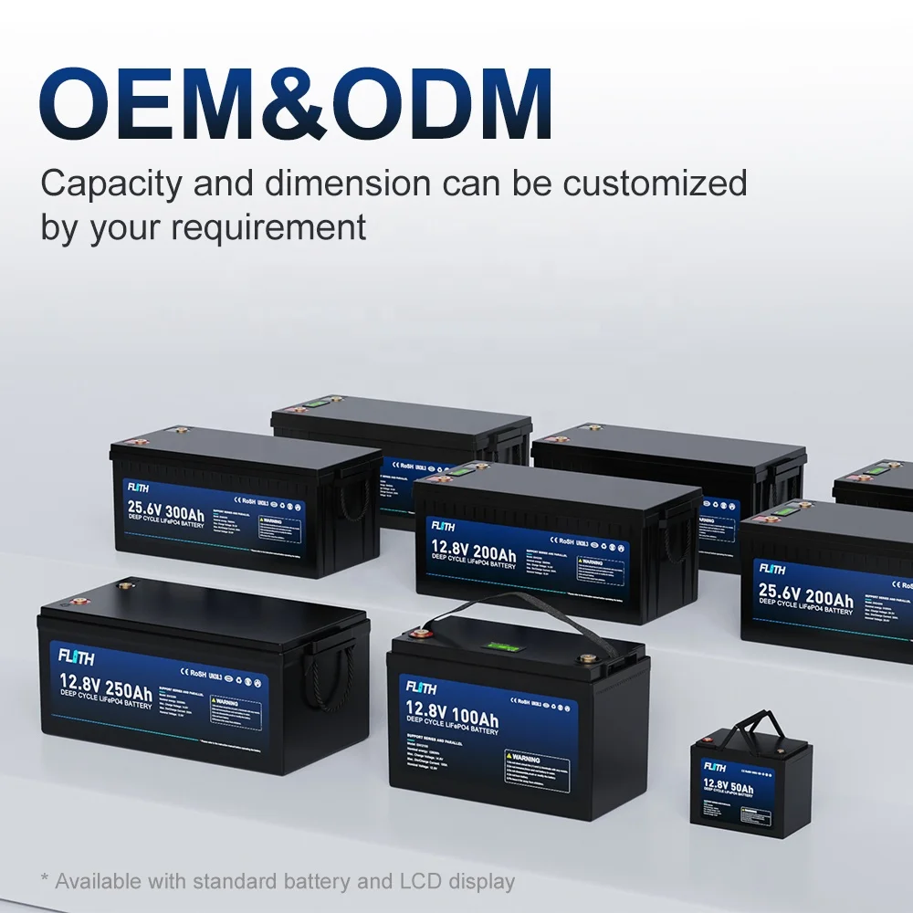 Flith renewable energy BMS lifepo4 rechargeable battery packs replace gel battery 12v 24V 100AH 200AH lithium ion battery